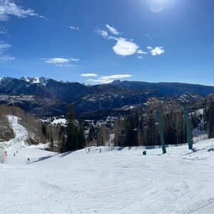 Meet your Posher, Jo beth